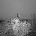 Webcam_20201028-074500