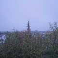 Webcam_20201028-083000