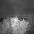 Webcam_20201028-184500