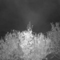 Webcam_20201028-190000