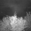 Webcam_20201028-193000