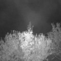 Webcam_20201029-053000