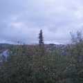 Webcam_20201029-084500