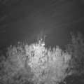 Webcam_20201030-053000