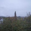 Webcam_20201031-103000