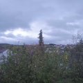 Webcam_20201102-101500