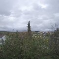 Webcam_20201102-124500
