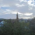 Webcam_20201103-100000