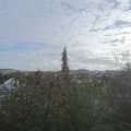 Webcam_20201103-111500