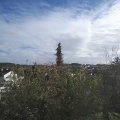 Webcam_20201103-124500