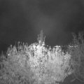 Webcam_20201103-201500