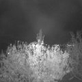 Webcam_20201103-203000