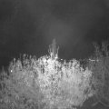 Webcam_20201103-204500