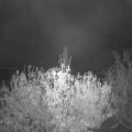 Webcam_20201104-070000