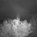 Webcam_20201104-073000