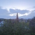 Webcam_20201104-080000
