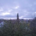 Webcam_20201104-083000