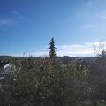 Webcam_20201104-114500