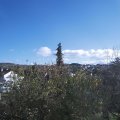 Webcam_20201104-131500