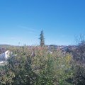Webcam_20201104-164500