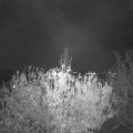 Webcam_20201104-190000