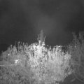 Webcam_20201104-201500