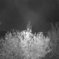 Webcam_20201104-214500