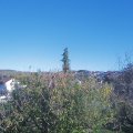Webcam_20201105-163000