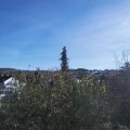 Webcam_20201106-121500