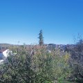 Webcam_20201106-161500