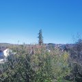 Webcam_20201106-163000