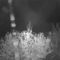 Webcam_20201106-191500