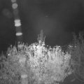 Webcam_20201106-193000