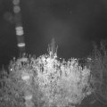 Webcam_20201106-200000