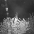 Webcam_20201106-201500
