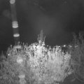 Webcam_20201106-203000
