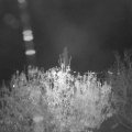 Webcam_20201106-204500