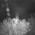 Webcam_20201106-210000
