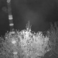 Webcam_20201106-211500