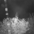 Webcam_20201106-213000