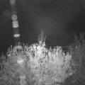 Webcam_20201106-220000