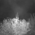 Webcam_20201108-050000