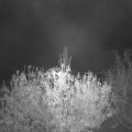 Webcam_20201108-053000