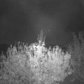 Webcam_20201108-070000