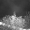 Webcam_20201108-210000