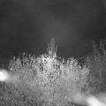 Webcam_20201108-214500