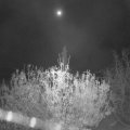 Webcam_20201110-050000