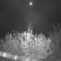 Webcam_20201110-051500