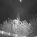 Webcam_20201110-053000