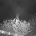 Webcam_20201110-060000